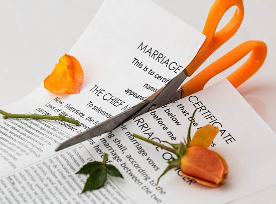 marriage license being cut in half